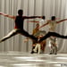 Compagnie Hervé Koubi