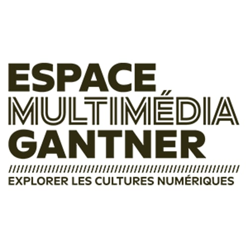 Espace Multimedia Gantner 3