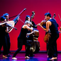 4 saisons Vivaldi-Pazzolla