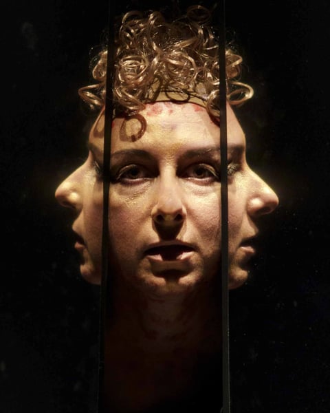 Dans le Miroir