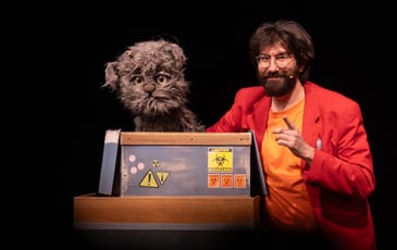Le Paradoxe du Chat