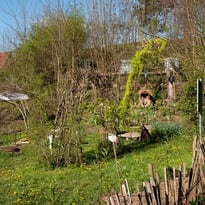 Visite commentée des jardins de l'école d'art Gérard Jacot de Belfort