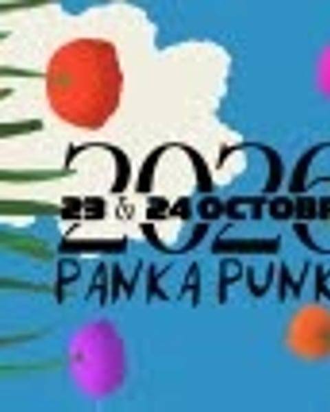 Festival PankaPunka